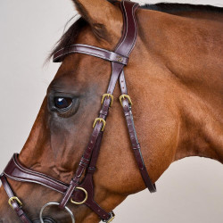 Trense D Motion D Collection by Dy'on Braun Trense D Motion D Collection by Dy'on Braun