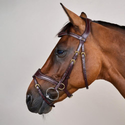 Trense D Motion D Collection by Dy'on Braun Trense D Motion D Collection by Dy'on Braun