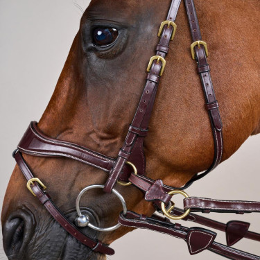 Trense D Motion D Collection by Dy'on Braun Trense D Motion D Collection by Dy'on Braun