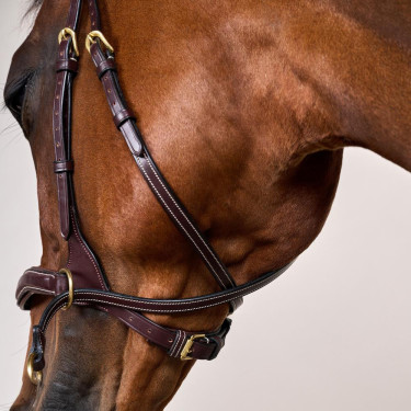 Trense D Motion D Collection by Dy'on Braun Trense D Motion D Collection by Dy'on Braun