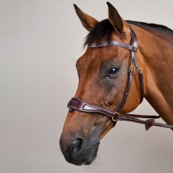 Trense D Motion D Collection by Dy'on Braun Trense D Motion D Collection by Dy'on Braun