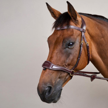 Trense D Motion D Collection by Dy'on Braun Trense D Motion D Collection by Dy'on Braun