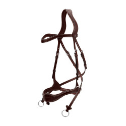 Trense D Motion D Collection by Dy'on Braun Trense D Motion D Collection by Dy'on Braun