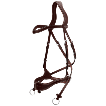 Trense D Motion D Collection by Dy'on Braun Trense D Motion D Collection by Dy'on Braun