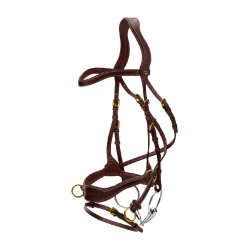 Trense D Motion D Collection by Dy'on Braun Trense D Motion D Collection by Dy'on Braun