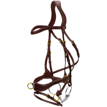 Trense D Motion D Collection by Dy'on Braun Trense D Motion D Collection by Dy'on Braun