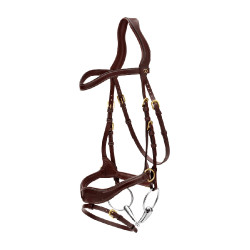 Trense D Motion D Collection by Dy'on Braun Trense D Motion D Collection by Dy'on Braun