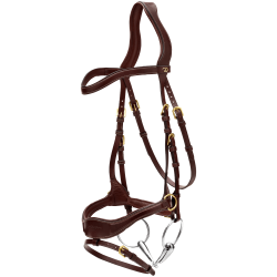 Trense D Motion D Collection by Dy'on Braun Trense D Motion D Collection by Dy'on Braun