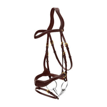 Trense D Motion D Collection by Dy'on Braun Trense D Motion D Collection by Dy'on Braun