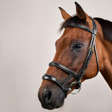 Trense Doppelnasenriemen D Collection by Dy'on Schwarz