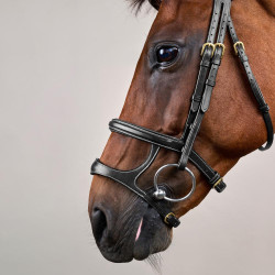 Trense Doppelnasenriemen D Collection by Dy'on Schwarz
