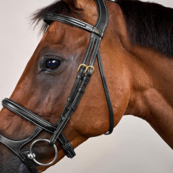 Trense Doppelnasenriemen D Collection by Dy'on Schwarz