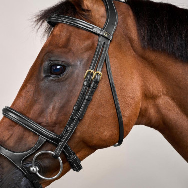 Trense Doppelnasenriemen D Collection by Dy'on Schwarz
