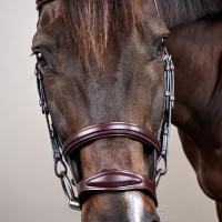 Doppelt gezäumter Zaum New English Collection by Dy'on Schwarz