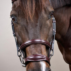 Doppelt gezäumter Zaum New English Collection by Dy'on Braun