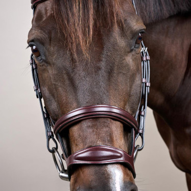 Doppelt gezäumter Zaum New English Collection by Dy'on Braun