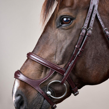 Doppelt gezäumter Zaum New English Collection by Dy'on Braun