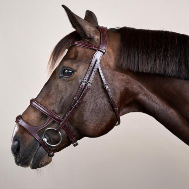 Doppelt gezäumter Zaum New English Collection by Dy'on Braun