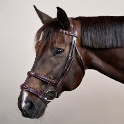 Doppelt gezäumter Zaum New English Collection by Dy'on Braun