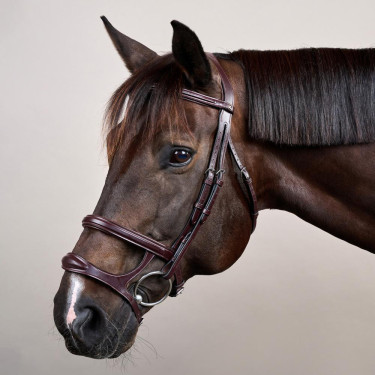 Doppelt gezäumter Zaum New English Collection by Dy'on Braun