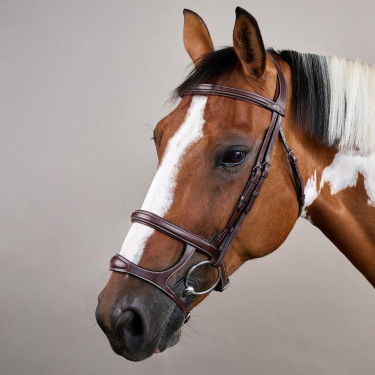 Trense Doppelnasenriemen US Collection by Dy'on Braun