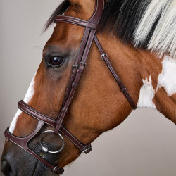 Trense Doppelnasenriemen US Collection by Dy'on Braun