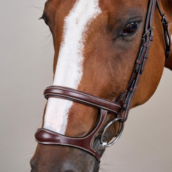 Trense Doppelnasenriemen US Collection by Dy'on Braun