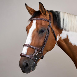 Trense Doppelnasenriemen US Collection by Dy'on Braun