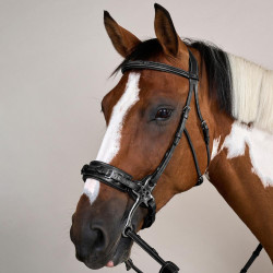 Bridon Hackamore US Collection by Dy'on Schwarz