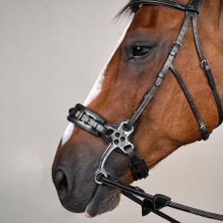 Bridon Hackamore US Collection by Dy'on Schwarz