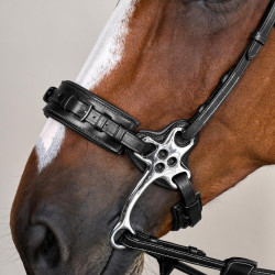 Bridon Hackamore US Collection by Dy'on Schwarz