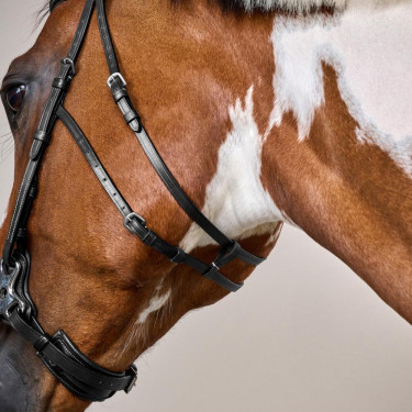 Bridon Hackamore US Collection by Dy'on Schwarz