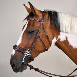 Bridon Hackamore US Collection by Dy'on Braun