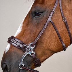 Bridon Hackamore US Collection by Dy'on Braun
