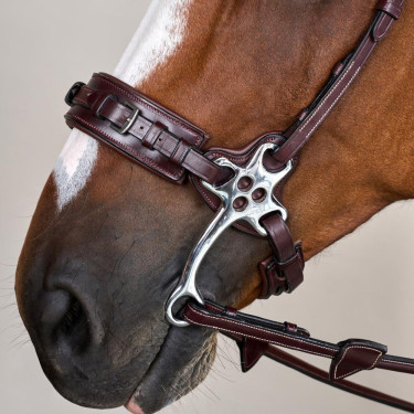 Bridon Hackamore US Collection by Dy'on Braun