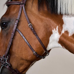 Bridon Hackamore US Collection by Dy'on Braun