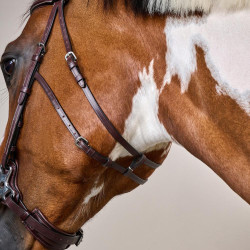 Bridon Hackamore US Collection by Dy'on Braun
