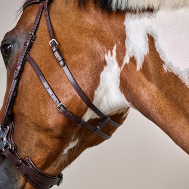 Bridon Hackamore US Collection by Dy'on Braun
