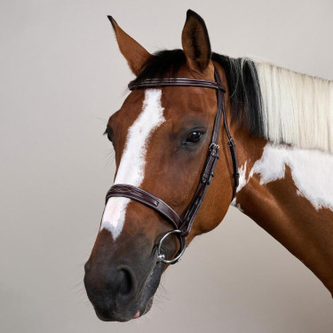 Trense Hunter US Collection by Dy'on Braun