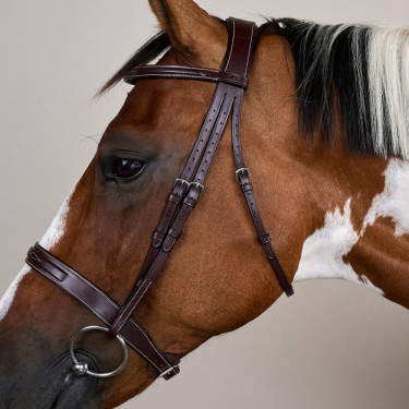 Trense Hunter US Collection by Dy'on Braun