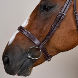 Trense Hunter US Collection by Dy'on Braun