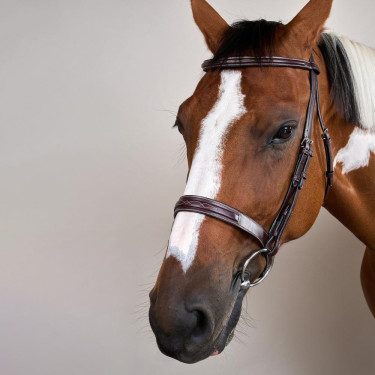 Trense Hunter US Collection by Dy'on Braun