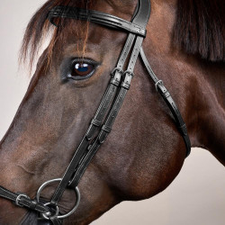 Trensenzaum mit verstellbarem deutschem Reithalfter New English Collection by Dy'on Schwarz