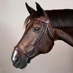 Trensenzaum mit verstellbarem deutschem Reithalfter New English Collection by Dy'on Braun