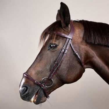 Trensenzaum mit verstellbarem deutschem Reithalfter New English Collection by Dy'on Braun