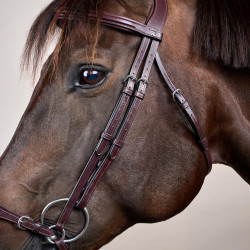 Trensenzaum mit verstellbarem deutschem Reithalfter New English Collection by Dy'on Braun