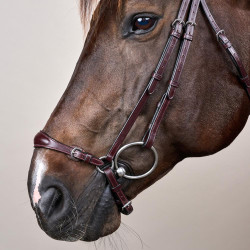 Trensenzaum mit verstellbarem deutschem Reithalfter New English Collection by Dy'on Braun