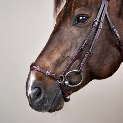 Trensenzaum mit verstellbarem deutschem Reithalfter New English Collection by Dy'on Braun