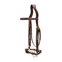 Trensenzaum mit verstellbarem Hannoverschem Reithalfter D Collection by Dy'on Braun