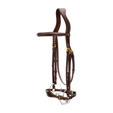 Trensenzaum mit verstellbarem Hannoverschem Reithalfter D Collection by Dy'on Braun